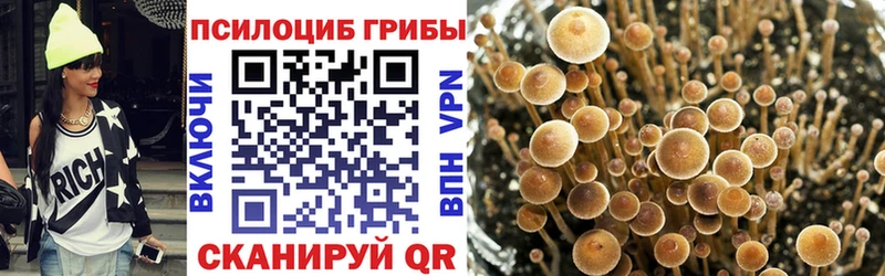 где купить наркоту Ревда Галлюциногенные грибы ЛСД