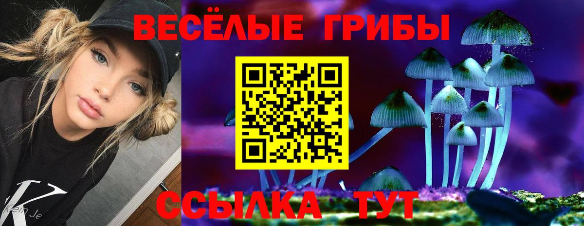 Псилоцибиновые грибы прущие грибы Ревда